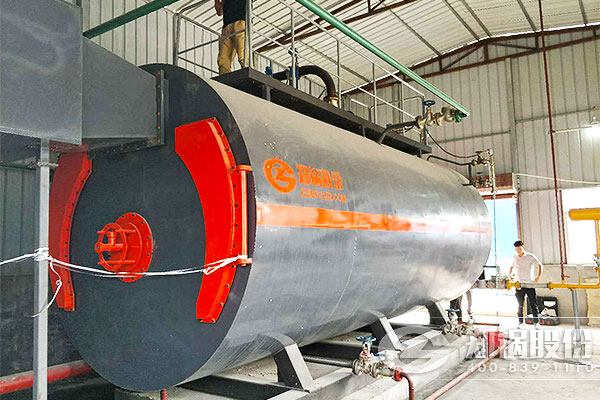 兴源建材6吨WNS卧式燃气锅炉项目